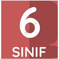6.  Sınıf Fen Bilimleri 2. Dönem 2. Yazılı Kağıdı ve Çözümleri