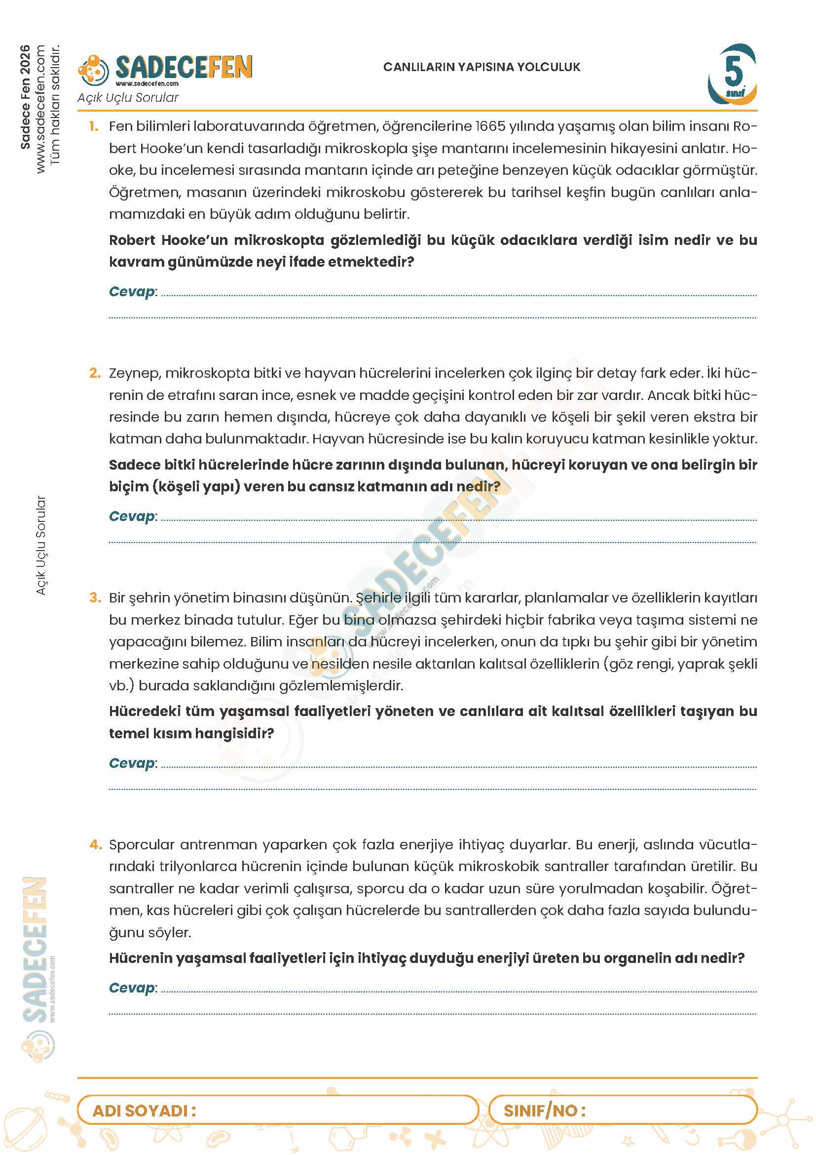 5. Sınıf Canlıların Yapısına Yolculuk (3. Ünite) – Açık Uçlu Sorular - Görsel 1