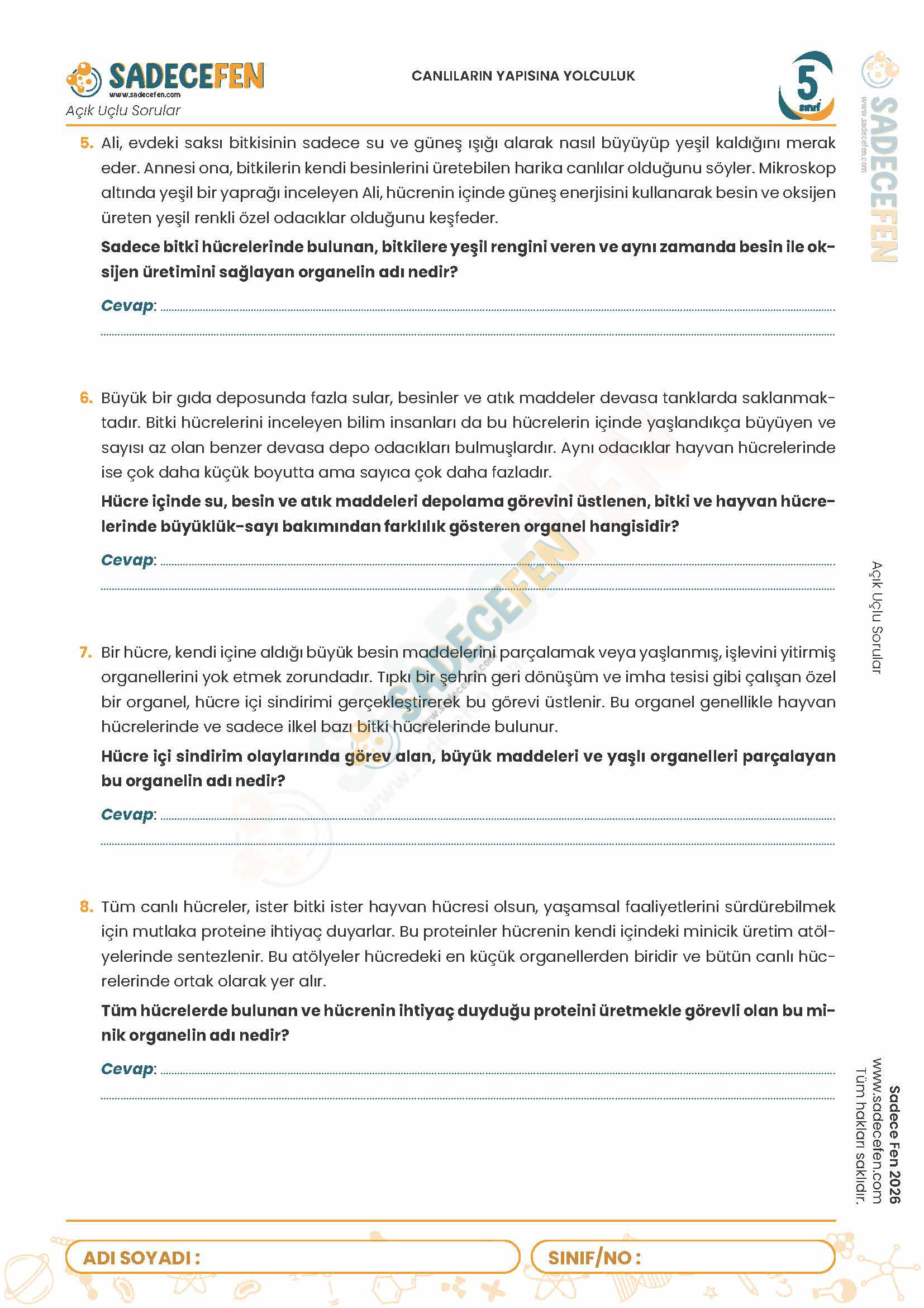 5. Sınıf Canlıların Yapısına Yolculuk (3. Ünite) – Açık Uçlu Sorular - Görsel 2