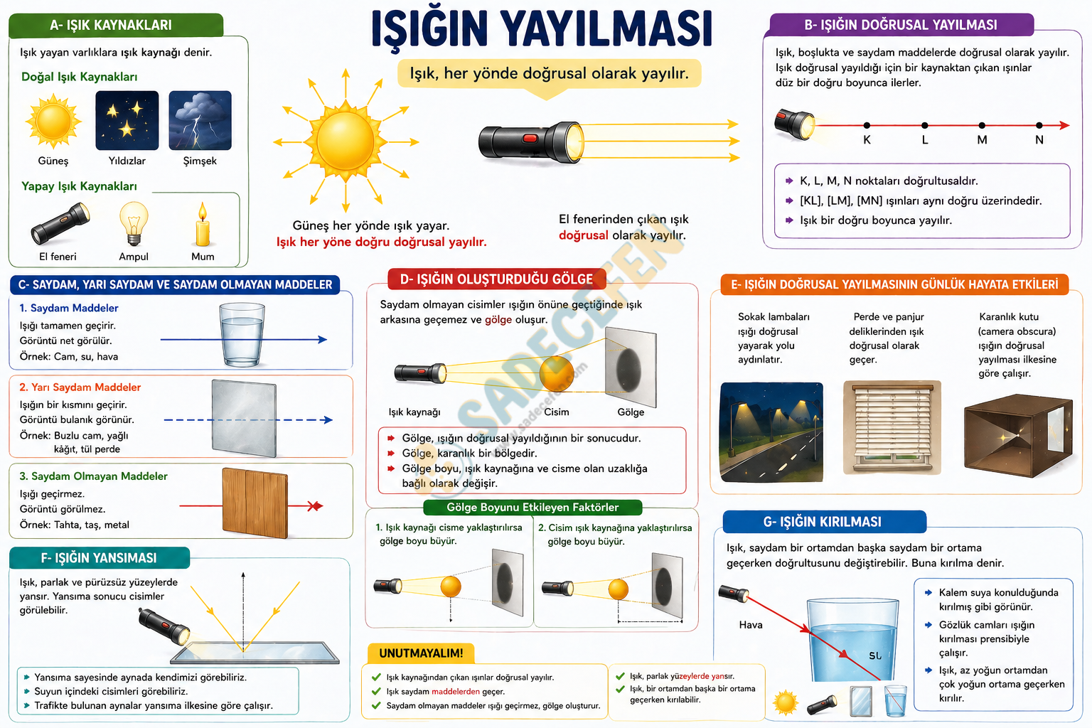 5. Sınıf Işığın Dünyası (4. Ünite) Konu Özeti – TYMM - Görsel 1