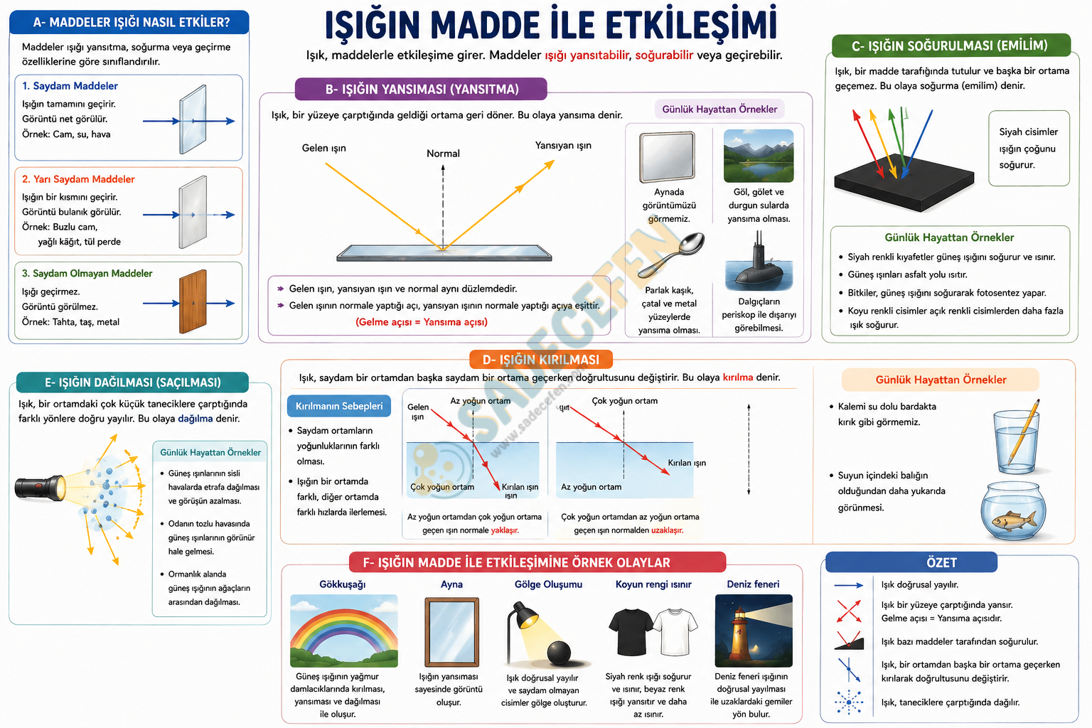 5. Sınıf Işığın Dünyası (4. Ünite) Konu Özeti – TYMM - Görsel 2