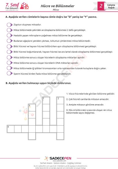 7 Sinif Fen Bilimleri Mitoz Bolunme Calisma Kagidi 2 Fen Bilimleri Dersi Platformu Sadece Fen