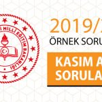 2019 LGS Fen Bilimleri Soru Dağılımı