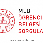 2019 LGS Fen Bilimleri Soru Dağılımı