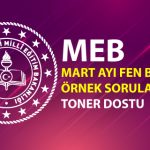 LGS Şubat Ayı Örnek Soruları