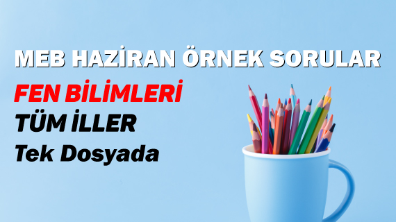 Haziran ayı fen soruları
