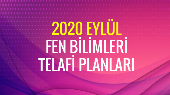 2020 Telafi Fen Planları