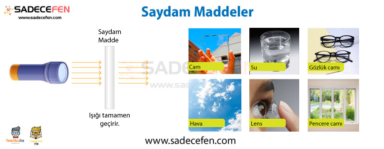 Saydam maddeler ve örnekleri Fen Bilimleri Dersi Platformu Sadece Fen