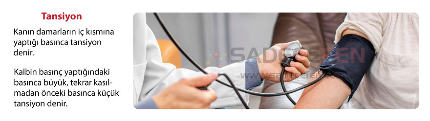 Tansiyon