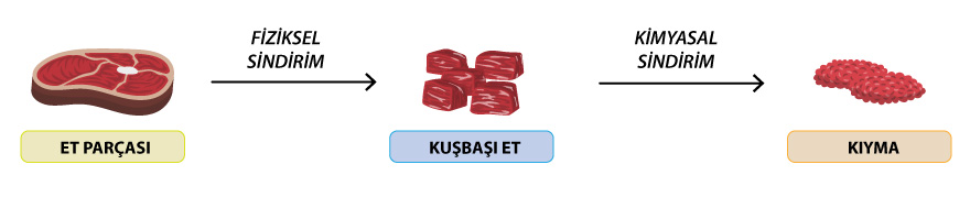 Fiziksel ve Kimyasal Sindirim