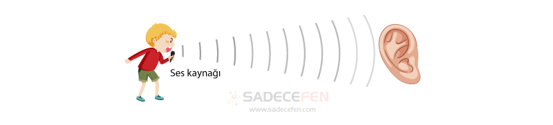 Ses kaynağı