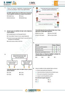 Güneşin Özellikleri Test 2