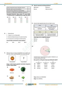 Güneşin Özellikleri Test 2