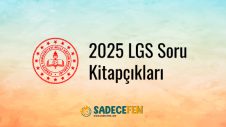 LGS 2025 Soru Kitapçıkları