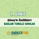 5. Sınıf Gökyüzündeki Komşumuz: Güneş Bağlam Temelli Sorular (BTS)