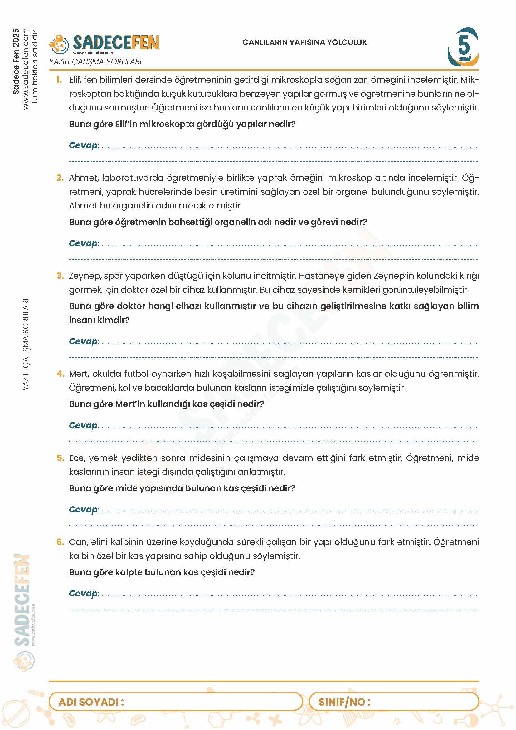 5. Sınıf Canlıların Yapısına Yolculuk (3. Ünite) Yazılı Çalışma Kağıdı - Görsel 1