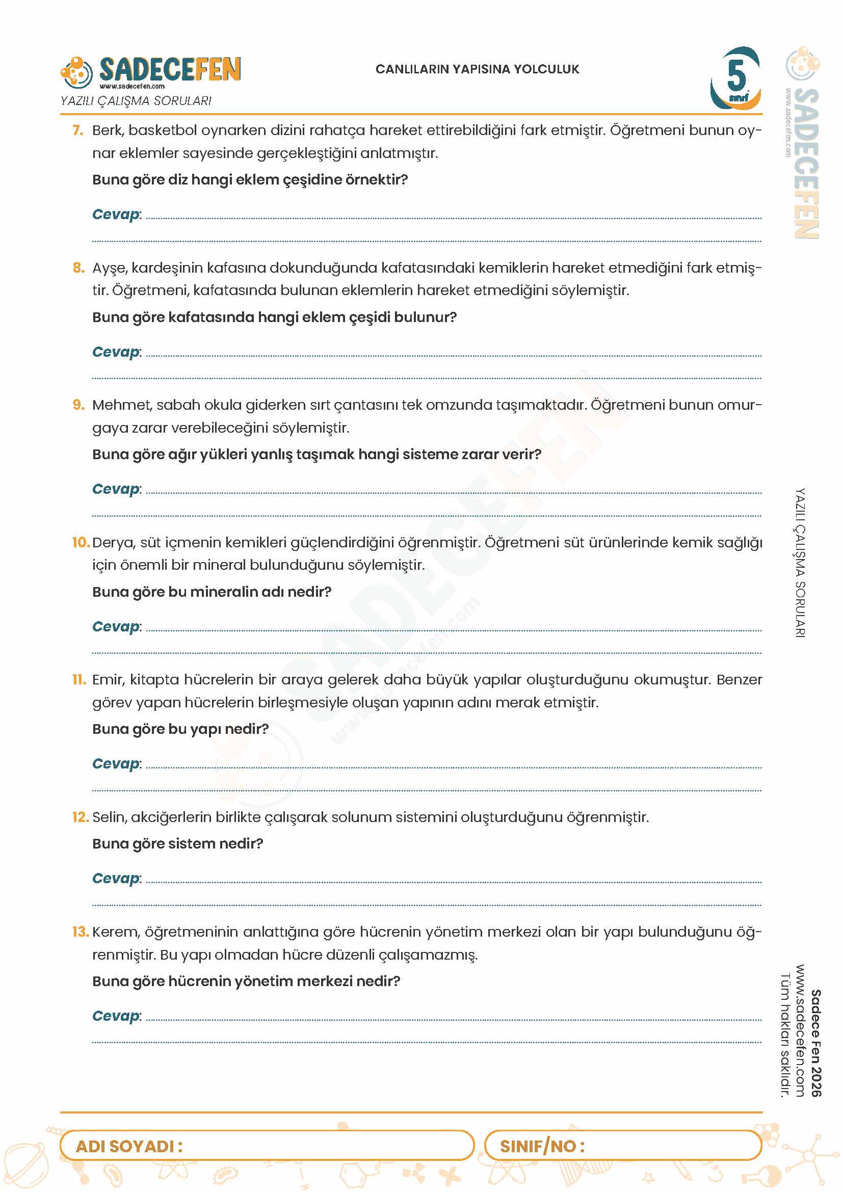 5. Sınıf Canlıların Yapısına Yolculuk (3. Ünite) Yazılı Çalışma Kağıdı - Görsel 2